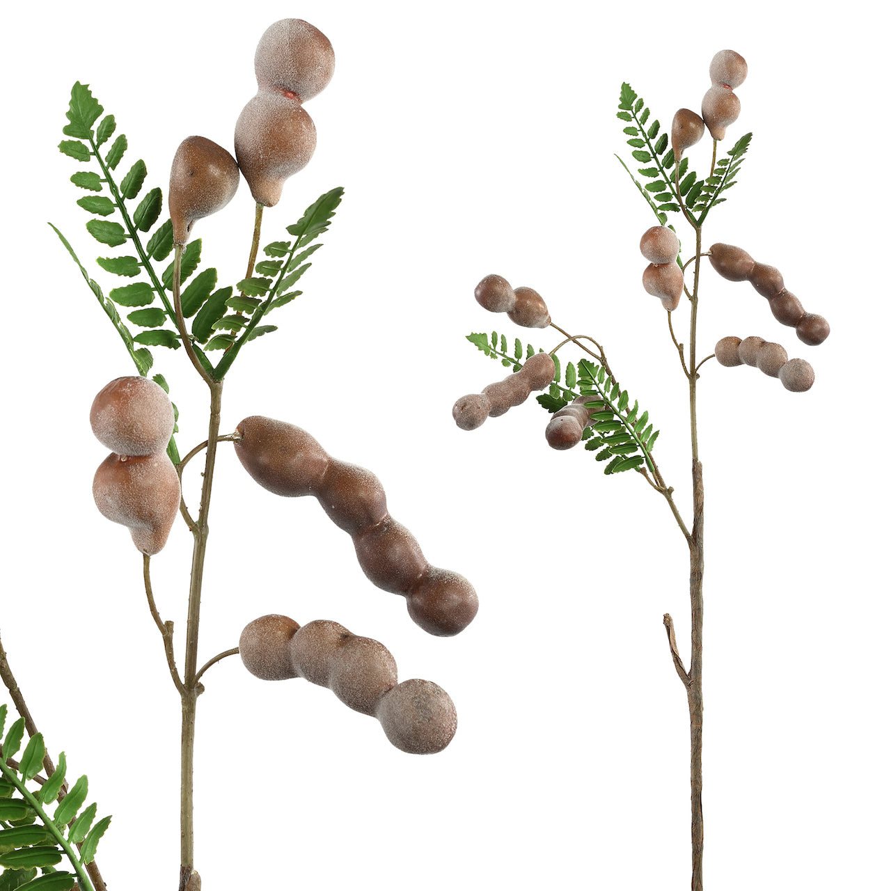 RAMAS Y FLORES | Rama berries café