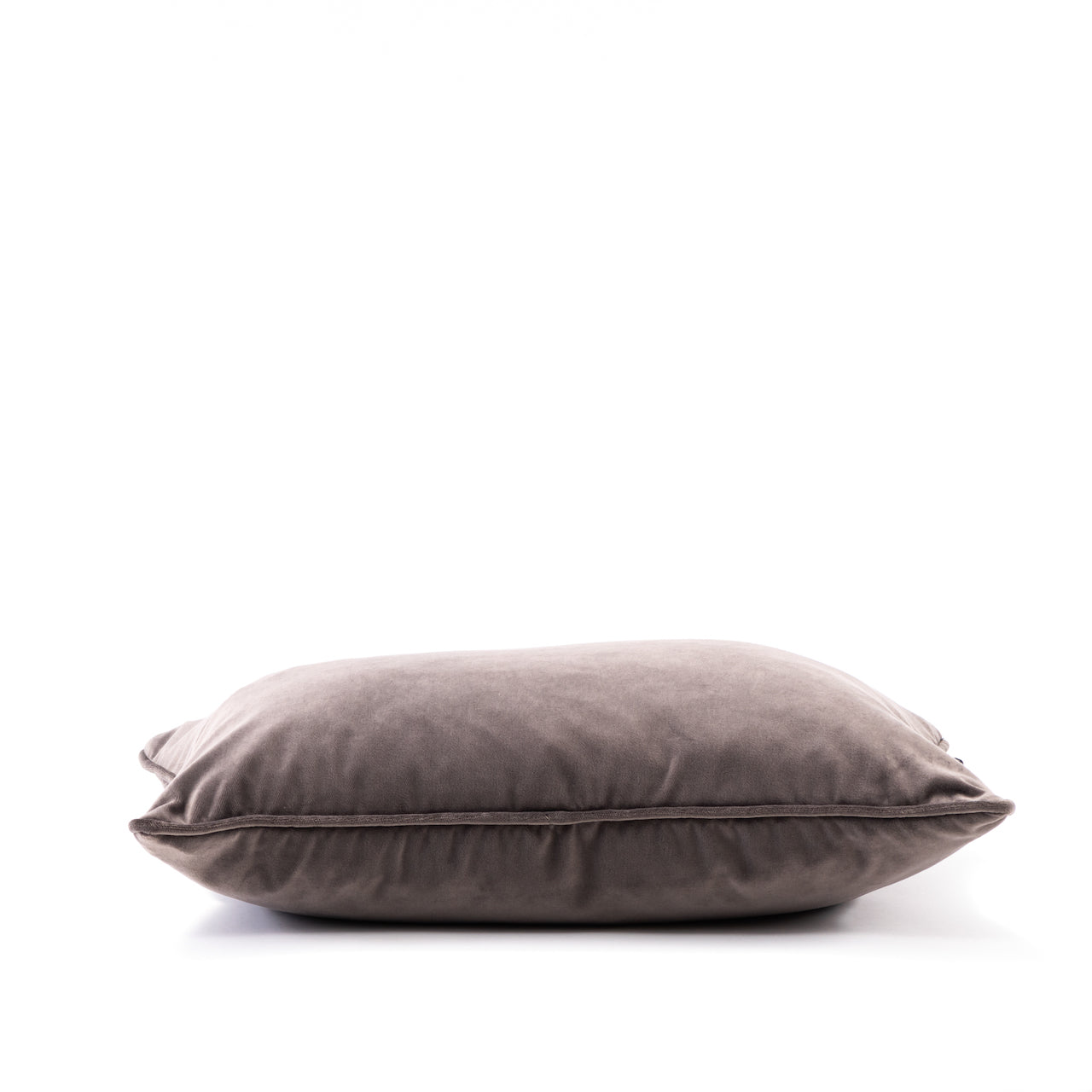 COJÍN TERCIOPELO VIVO MISMA TELA / 60 X 40 CM