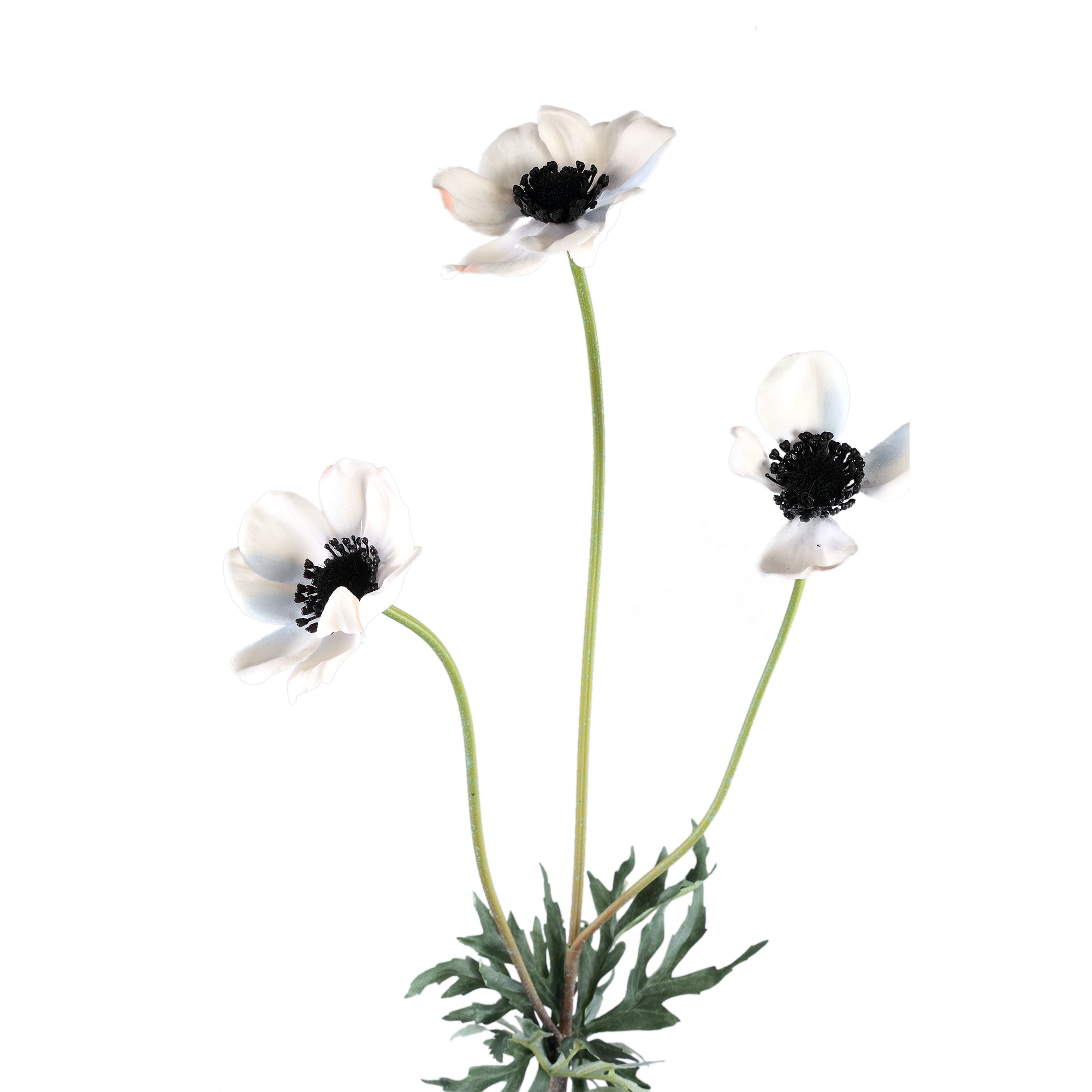 RAMAS Y FLORES |  Flor Anémona blanca (triple)