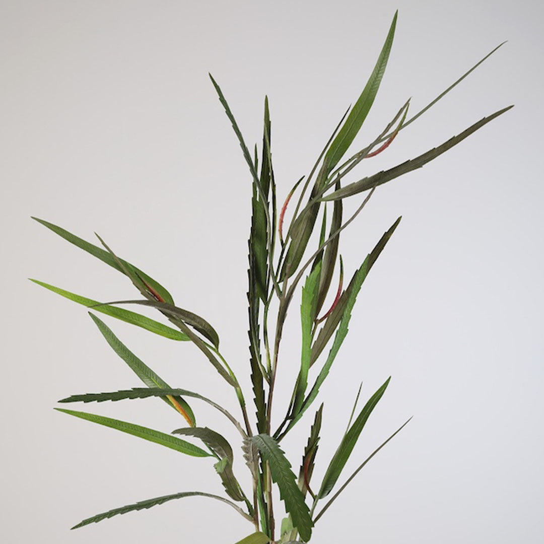 RAMAS Y FLORES | Banksia lvs Stem rama y Follaje Decorativo Artificial