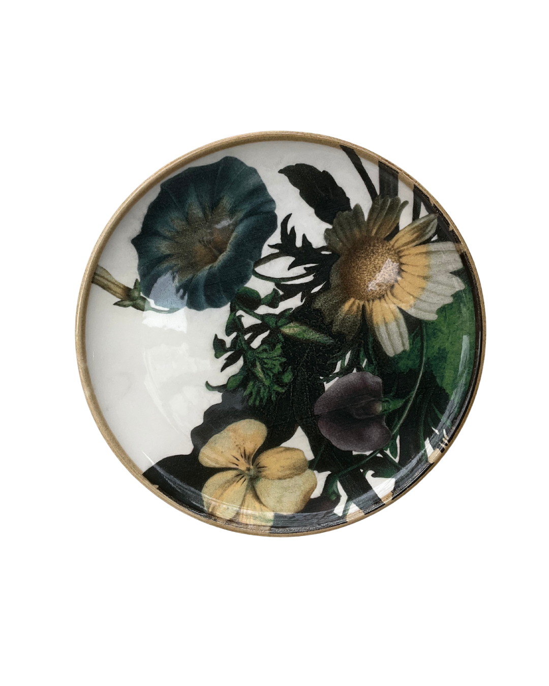 PLATO | Flor Azul