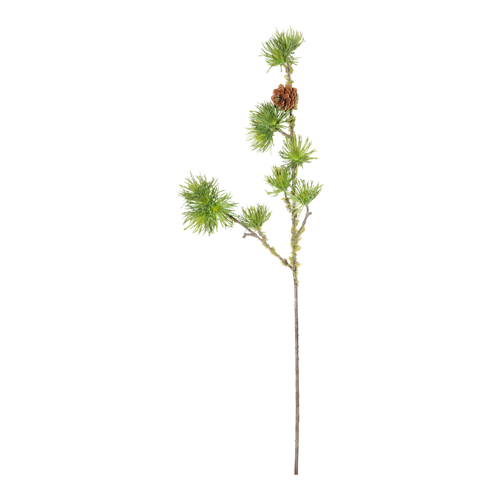 COMPLEMENTOS | Tallo de pino con musgos verdes y piña