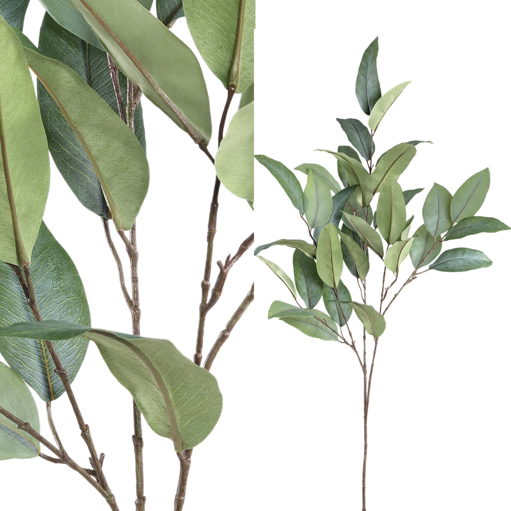 COMPLEMENTOS | Rama Eucaliptus verde L